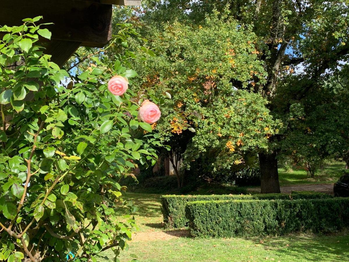 Majellon Grand Appartement Sainte-Christie-d'Armagnac Kültér fotó